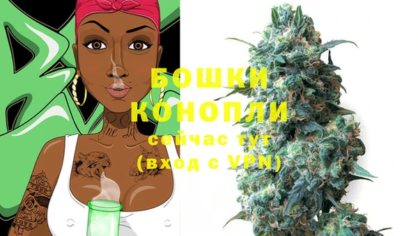 spice Беломорск