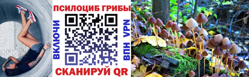 Галлюциногенные грибы Psilocybine cubensis  Полесск 